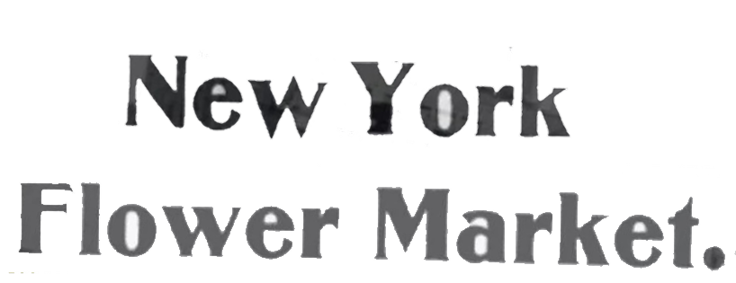 Mariposa Gallery New York